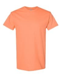 Unisex Heavy Cotton™ T-Shirt - 5000