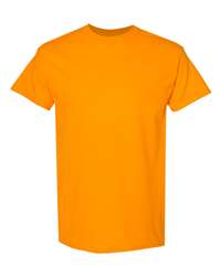 Unisex Heavy Cotton™ T-Shirt - 5000